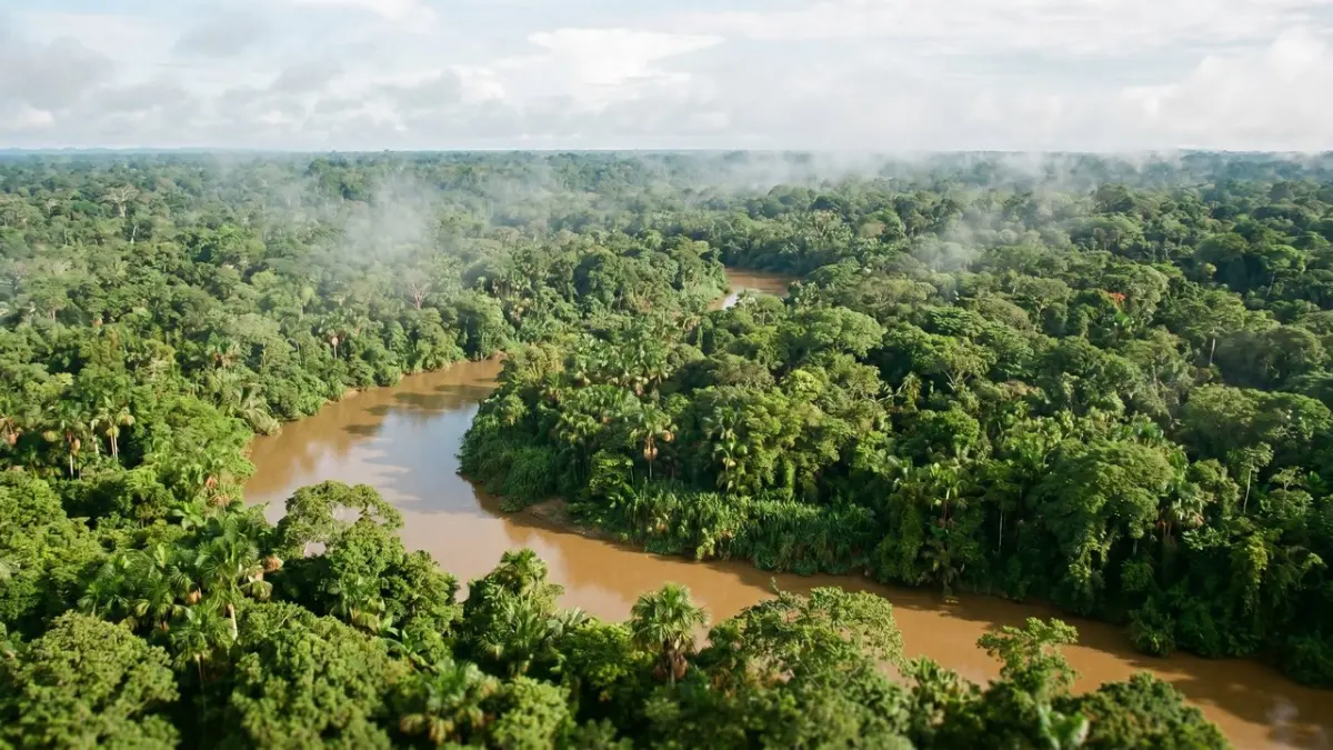 Impactos da Criminalização Ambiental na Amazônia para a Sustentabilidade e os Direitos Humanos