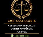 Advogado Correspondente Jurídico: Camila Martins Dos Santos
