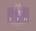 Advogado Correspondente Jurídico: Erika Fogaça De Oliveira 