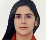 Advogado Correspondente Jurídico: Ingrid Holanda