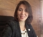 Advogado Correspondente Jurídico: Tallita Mendes 
