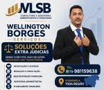 Advogado Correspondente Jurídico: Wellington Luiz Dos Santos Borges Borges