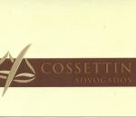 Advogado Correspondente Jurídico: Vinicius Arend Cossettin