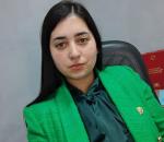 Advogado Correspondente Jurídico: Beatriz Gomes Ferreira